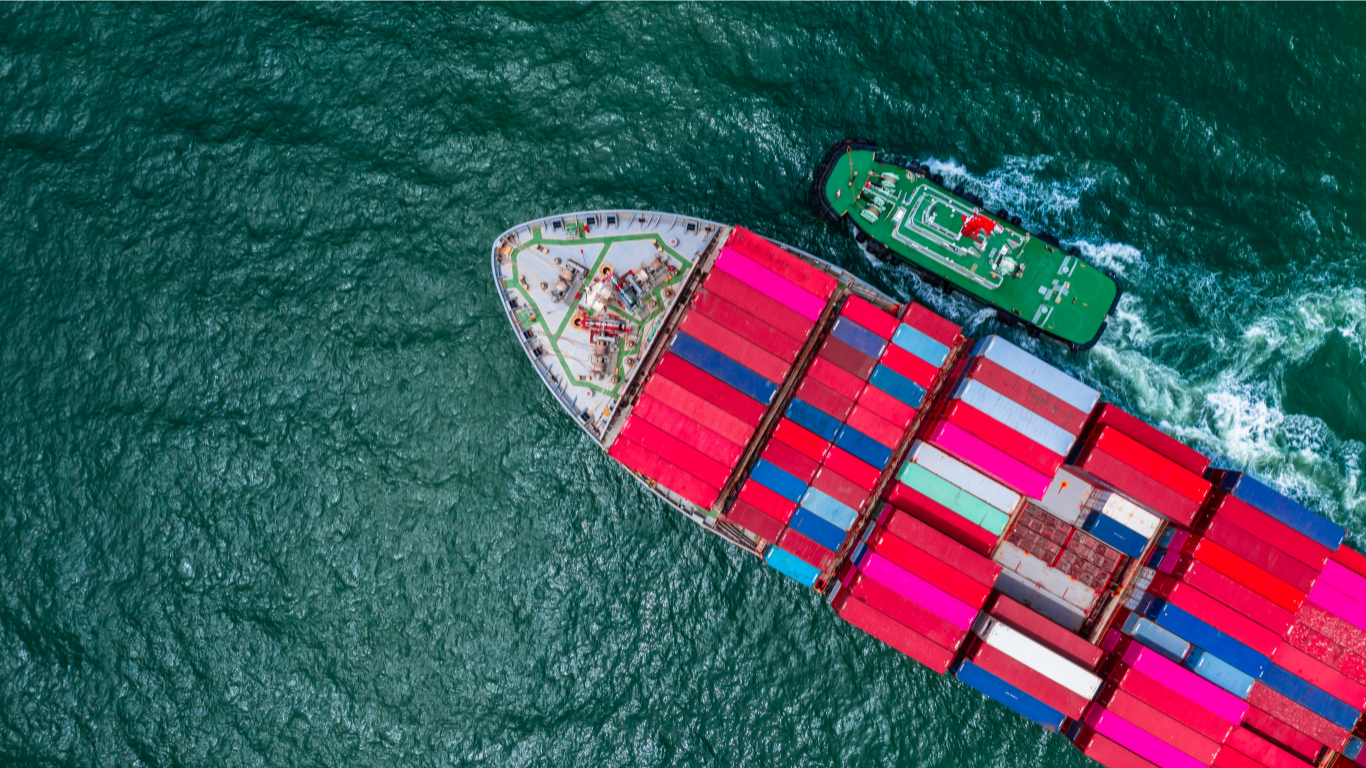 Export & Import